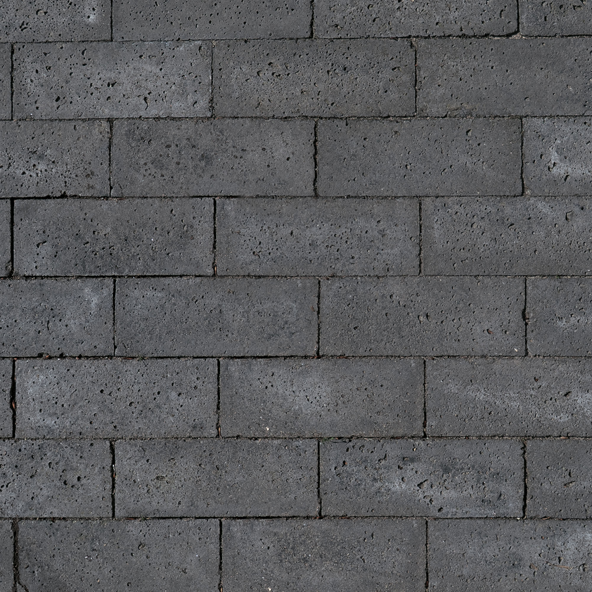 Schellevis Oud Hollandse dikformaat 21x7x8cm carbon