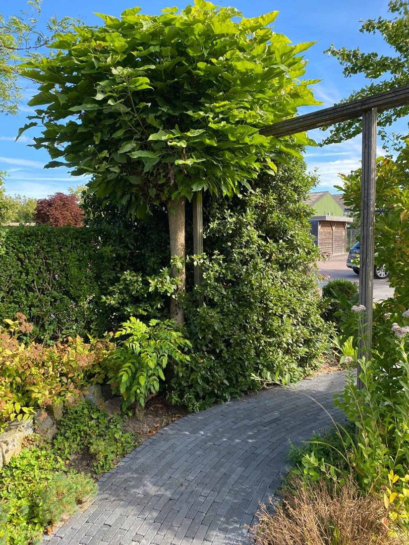 Retrostones Plus 5x20x6cm antraciet