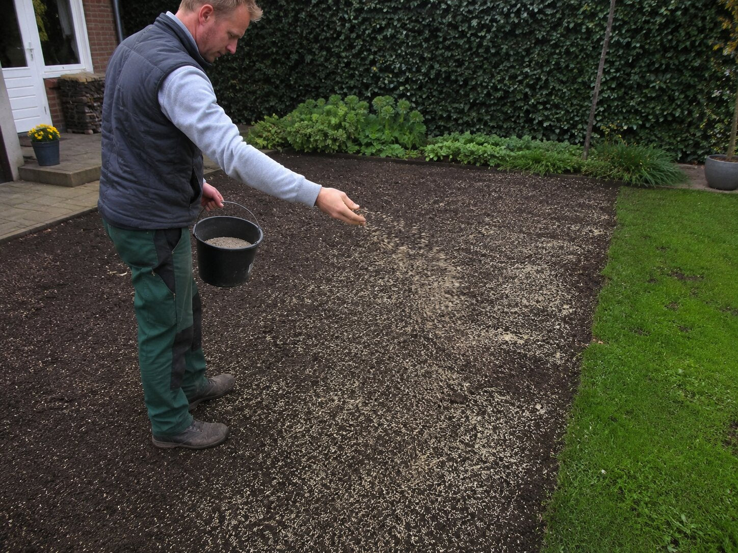 beste speelgazon graszaad voor uw gazon