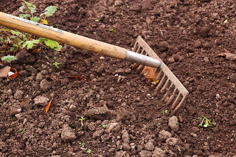 Tuinonderhoud in het voorjaar, welk onderhoud in het voorjaar?