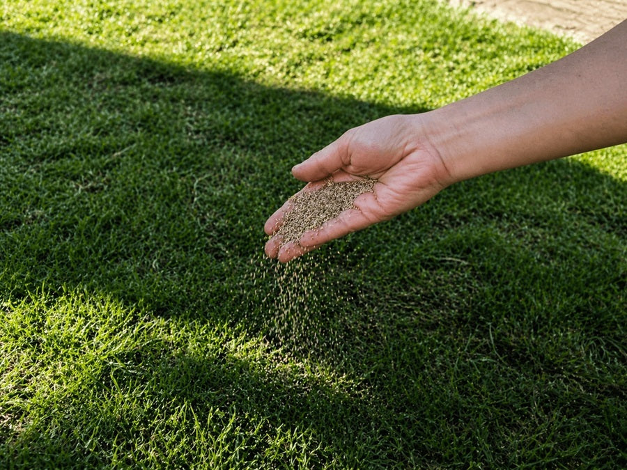 Beste organische mest voor het gazon