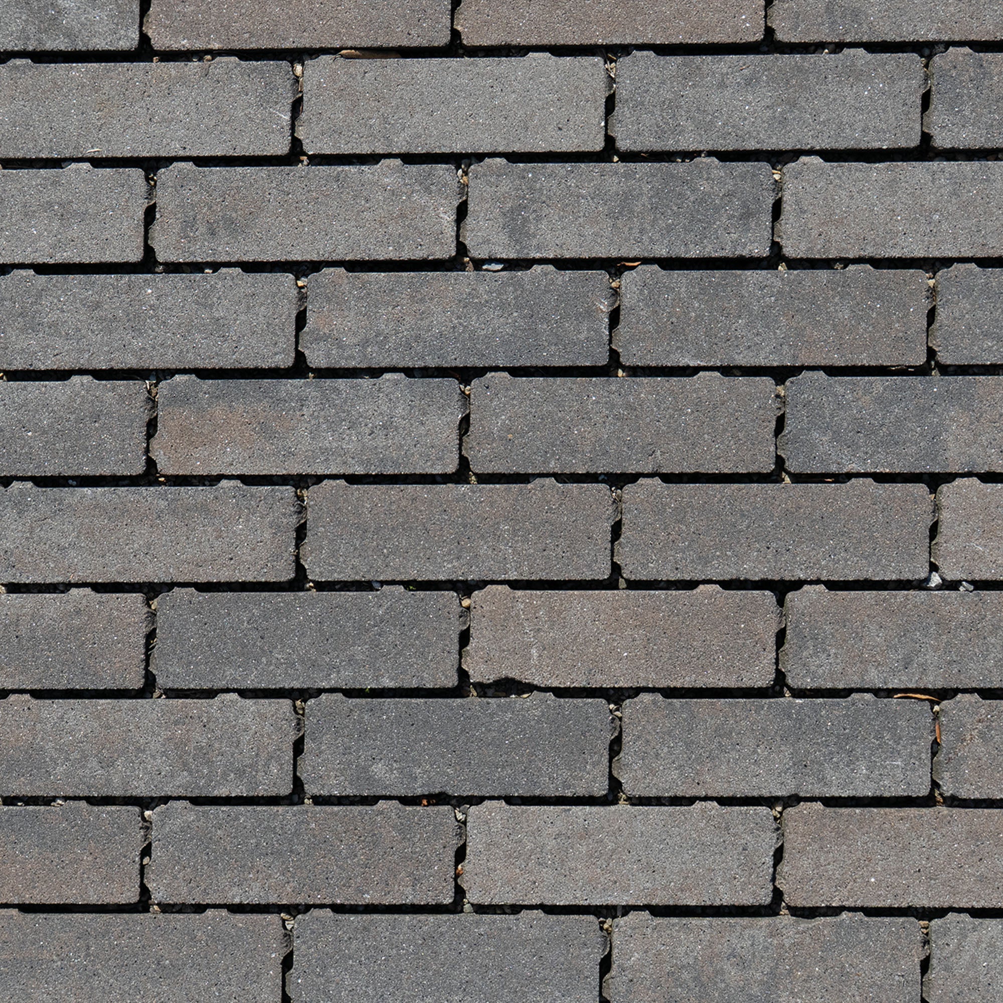 Eco Bricks waterpasserend Maeslant 7x21x8cm Maeslant bruin-zwart