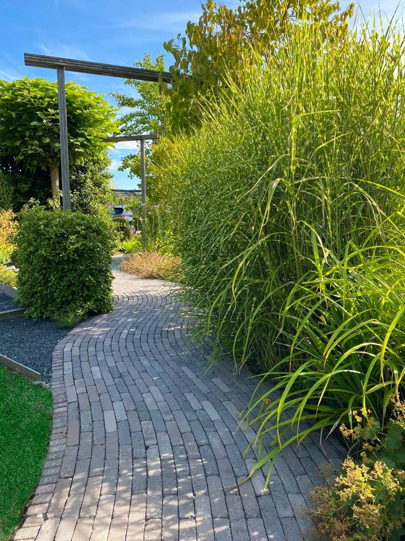 Retrostones Plus 5x20x6cm Paars/Bruin