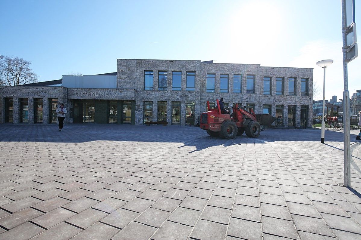 Betontegel 50x50x5cm grijs