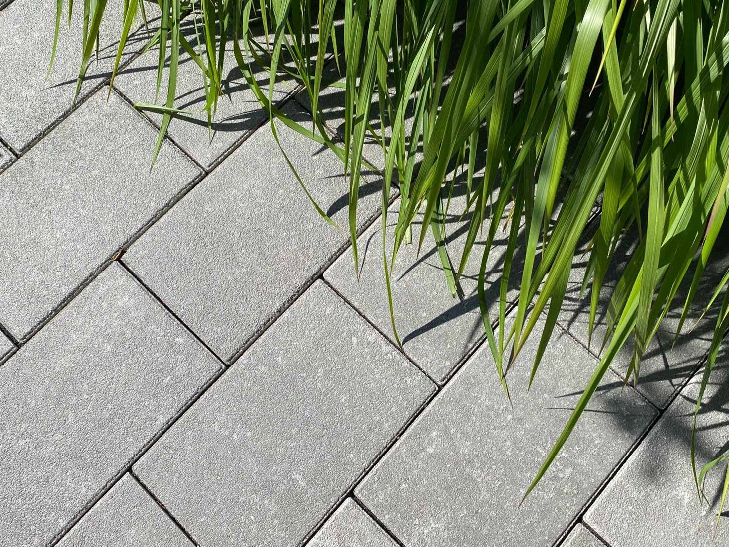 Betonique Stone Light 20x30x6cm lichtgrijs