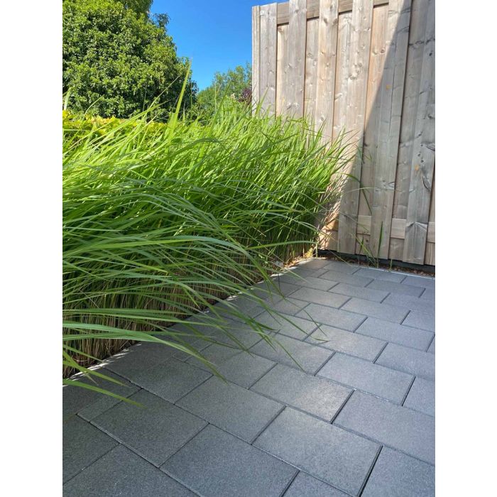 Betonique Stone Dark 20x30x6cm antraciet