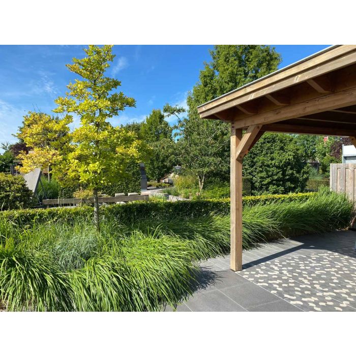 Betonique Stone decor dark 60x60x4cm antraciet