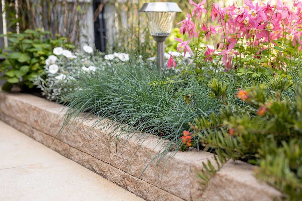 Rockline Walling Small 40x10x10cm mosselkalk