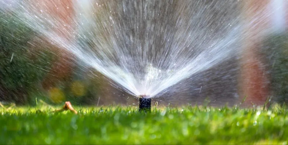 Afbeelding zonder ALT