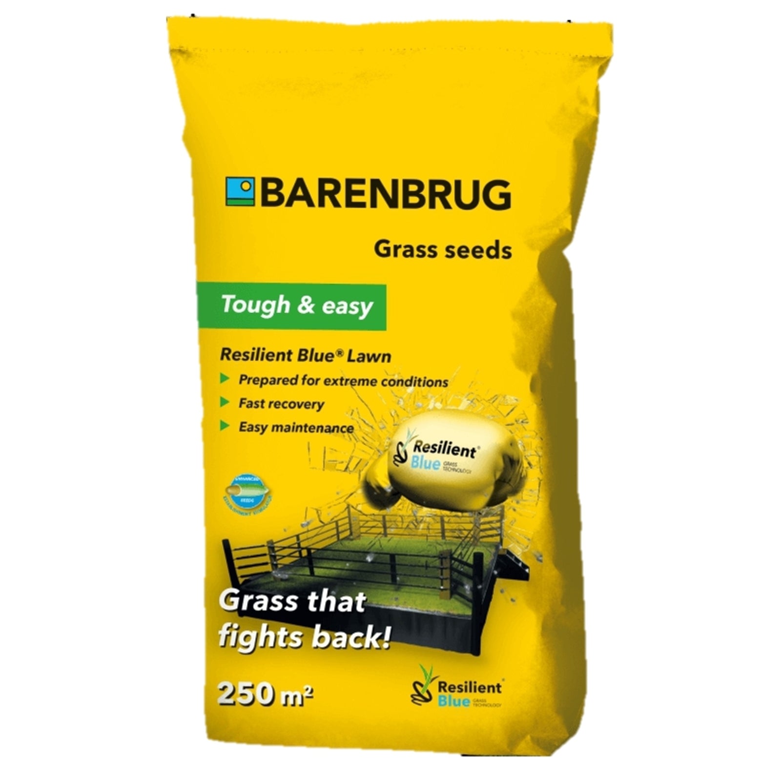 barenbrug-resilient-blue-5kg-528-1600-900