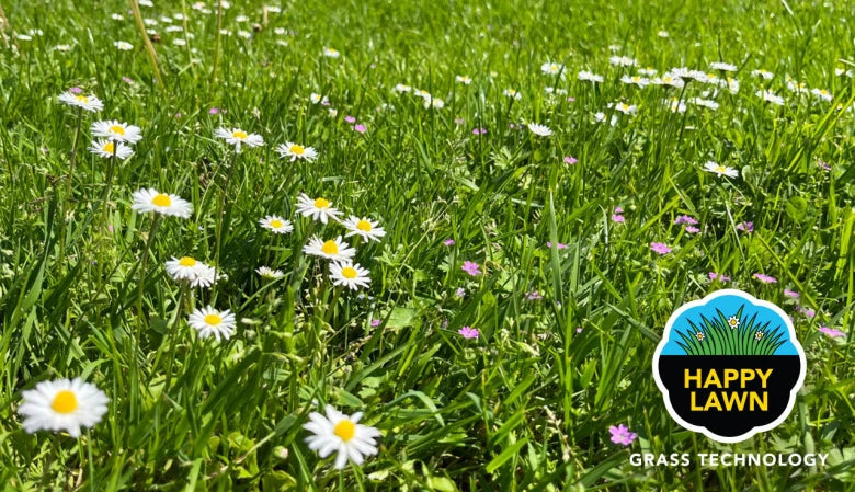 Barenbrug Happy Lawn 5kg