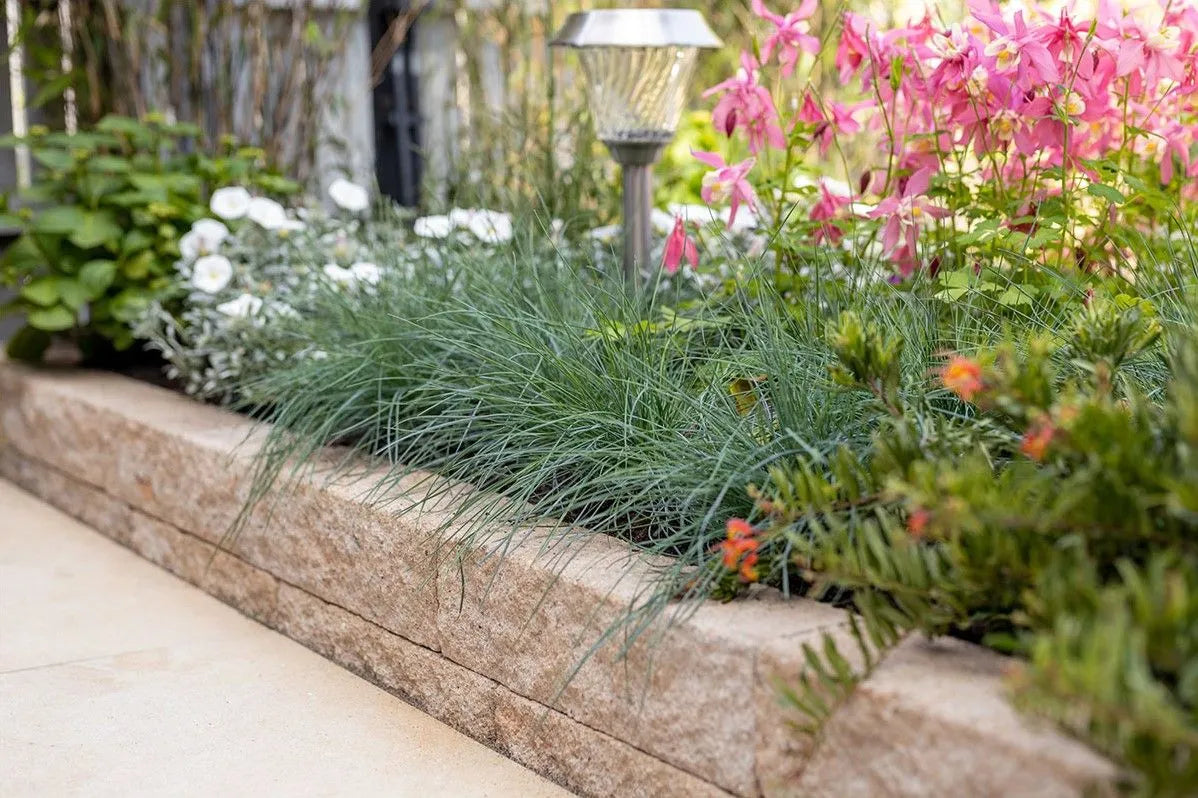 Afbeelding zonder ALT