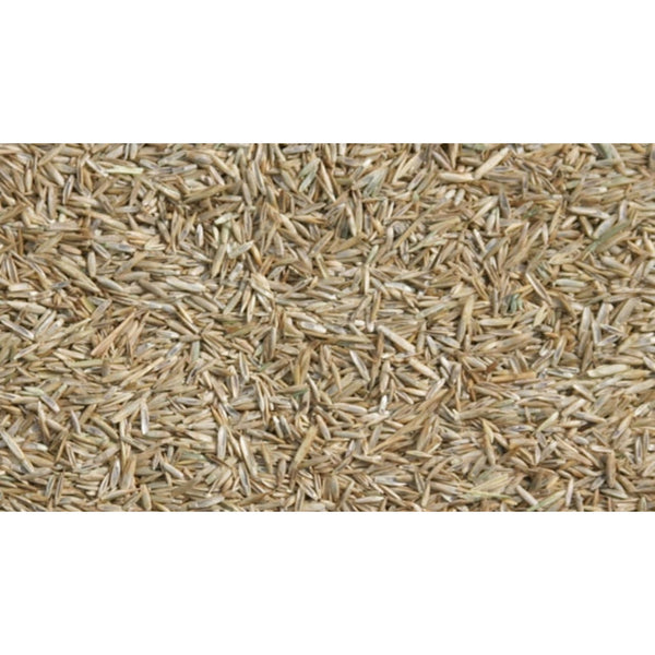 TG Premium Speelgazon Graszaad 1kg